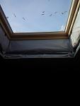 IMG 20141026 131223