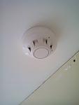 IMG 20141114 124246 1