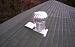     
: Evergreen_Roofing.jpg
: 1236
:	157.1 
ID:	11699