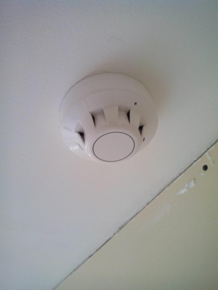 IMG 20141114 124246 1
