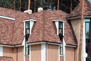 Шинглас Джаз купить