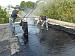     
: DSCN2511.jpg
: 1515
:	193.3 
ID:	20969