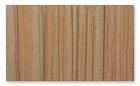 833 White Cedar