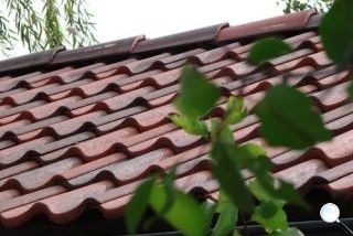 Baltic Tile Sea Wave 