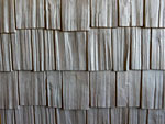 nailite  